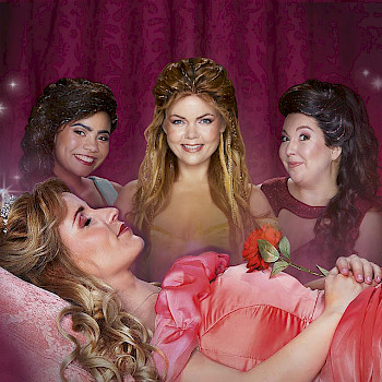 Doornroosje de Musical