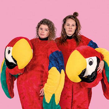 Spruijt & Opperman - Verzingeving