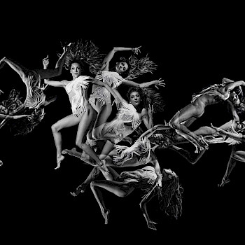 Scapino Ballet Rotterdam - Anima Obscura