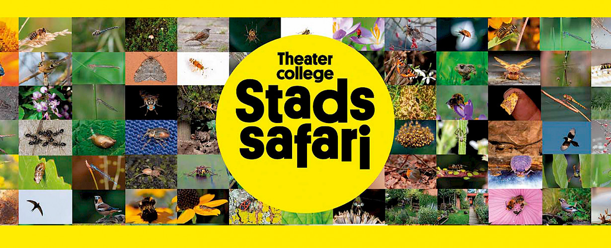 Stadssafari, van de makers van De Nieuwe Wildernis