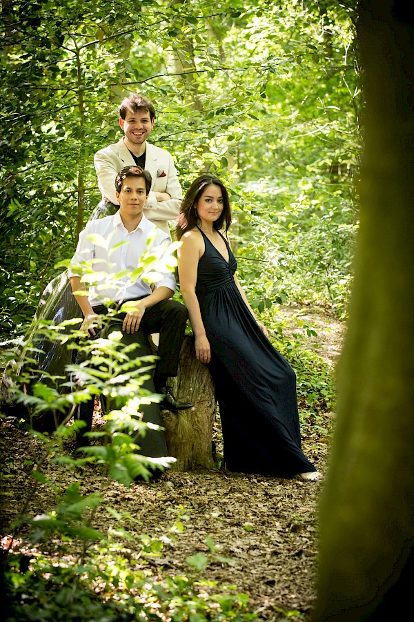 Trio 258-1