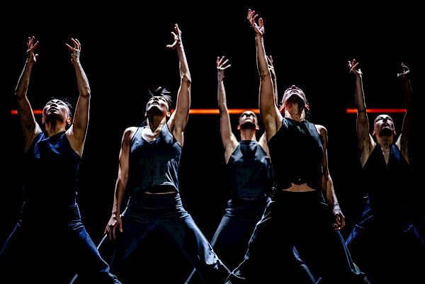 Conny Janssen Danst-4