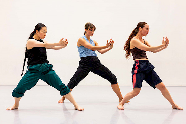 Conny Janssen Danst-3