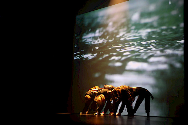 Dance XL-4