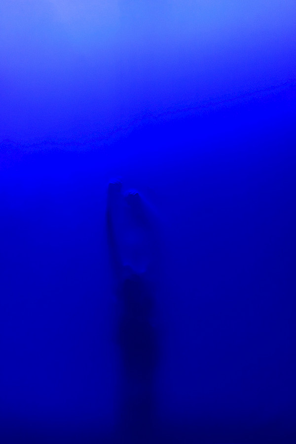 Body of Art-1